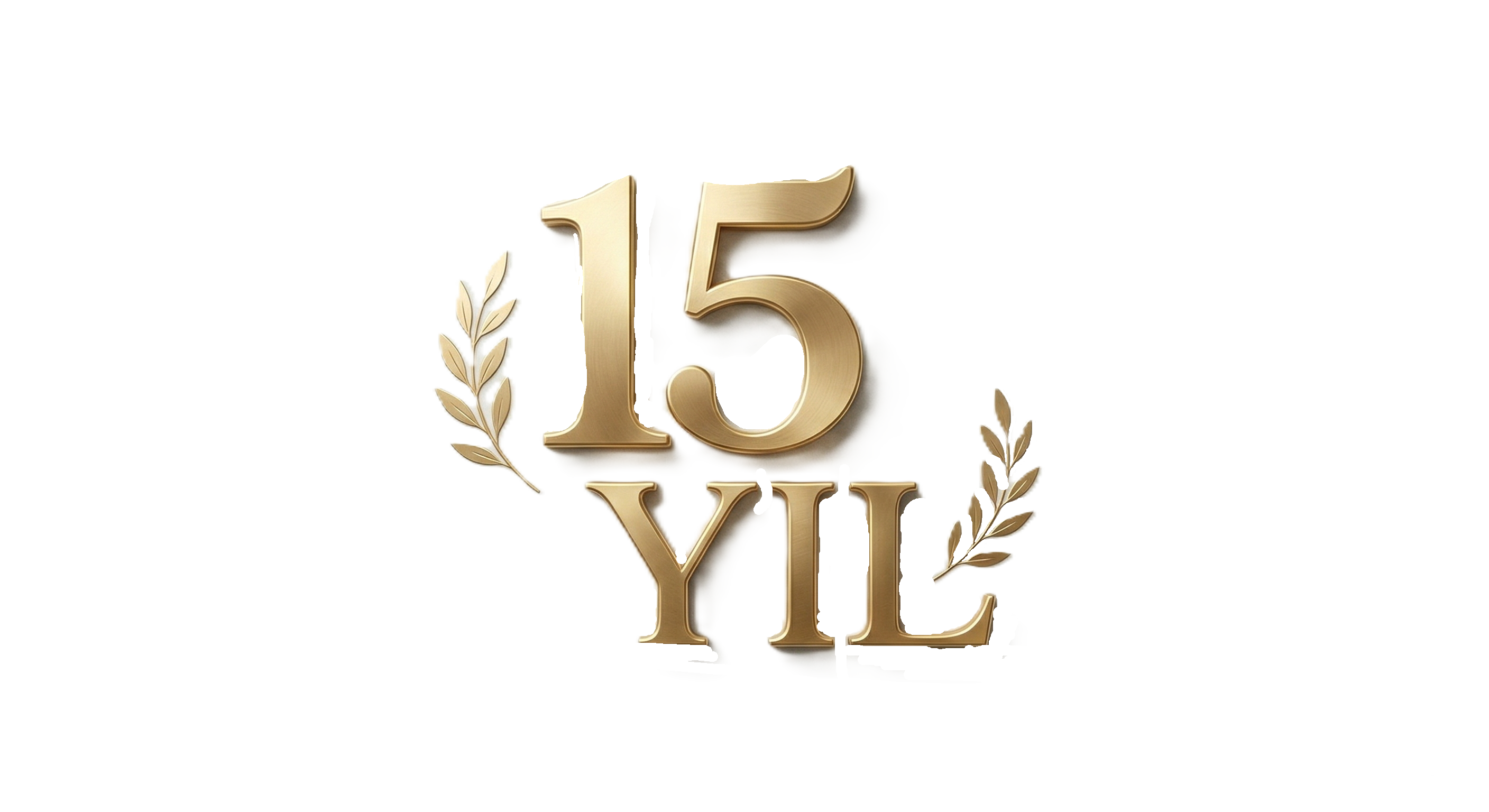 15. Yıl